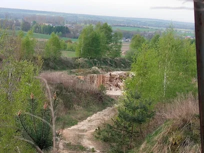 Rezerwat Przyrody Łuszczanowice